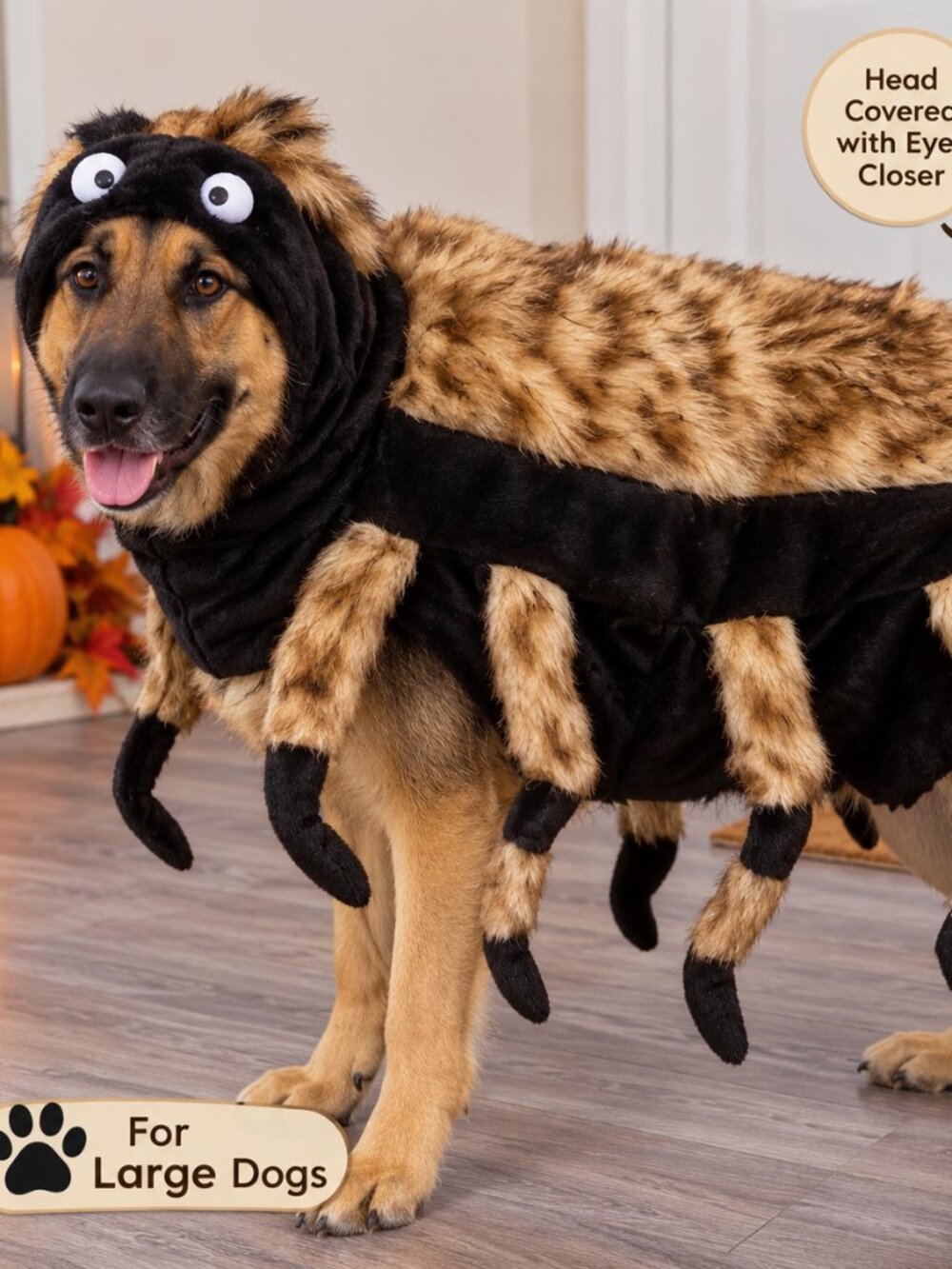 Zack & Zoey Fuzzy Tarantula Costume for Dogs Large Brown